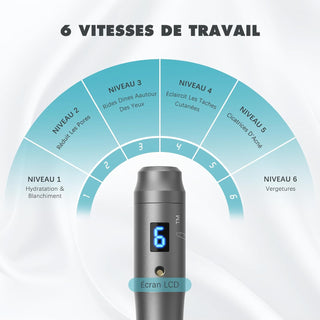 Kit Microneedling professionnel sans fil + Acide Hyaluronique Stérile